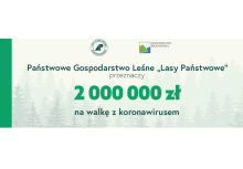 Lasy Państwowe przeznaczą dwa miliony złotych na walkę z epidemią