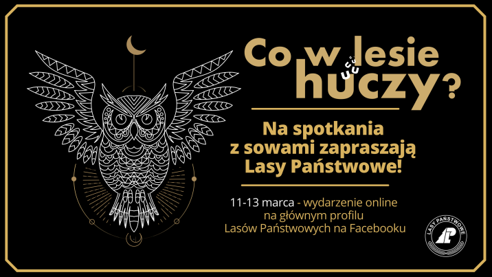 Plakat&#x20;akcji&#x20;&#x22;Co&#x20;huczy&#x20;w&#x20;lesie&#x22;