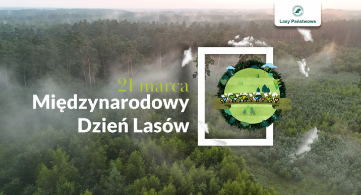21&#x20;marca&#x20;Międzynarodowy&#x20;Dzień&#x20;Lasów