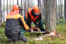 Młodzież Technikum Leśnego w Tucholi zdobywa kolejne umiejętności zawodowe