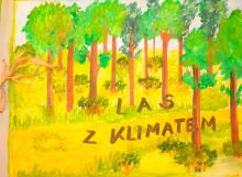 Rozstrzygnięcie konkursu  "Las z klimatem"