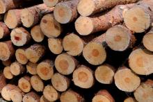 Zapraszamy do zakupu drewna po obniżonej cenie