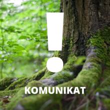 komunikat dyrektora rdlp w toruniu