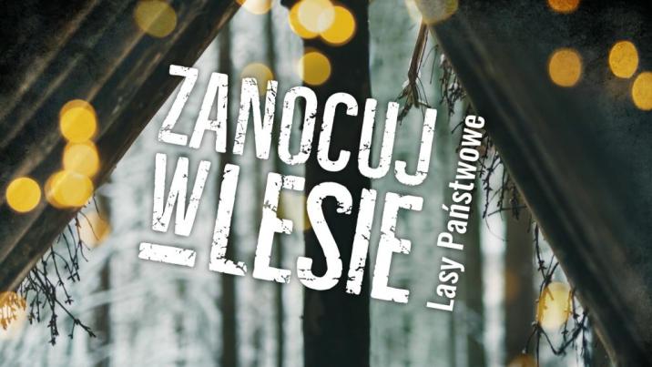 Program&#x20;&#x22;Zanocuj&#x20;w&#x20;lesie&#x22;