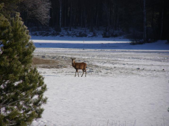 fot&#x2e;&#x20;Krzysztof&#x20;Linda