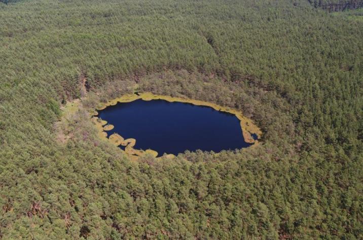 Rezerwat Jeziorka Kozie